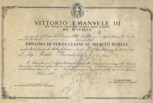 Diploma di III Classe al Merito-1933